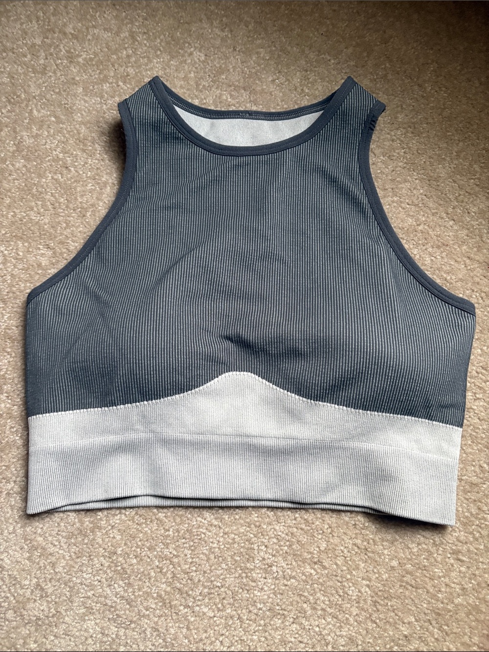 DSG Two-Tone Ribbed Crop Tank in Charcoal and Light Gray